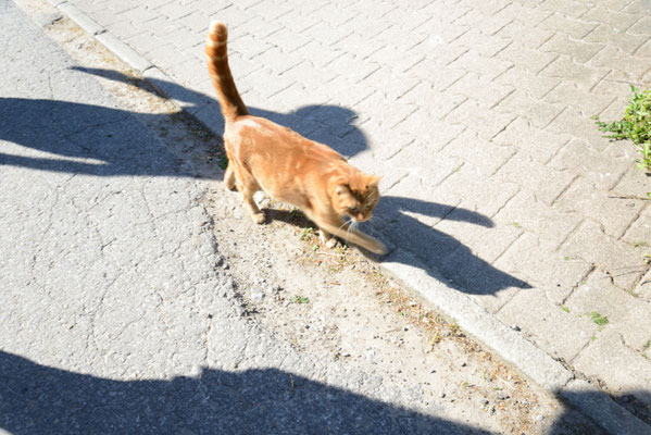 Sie wollte mitwandern