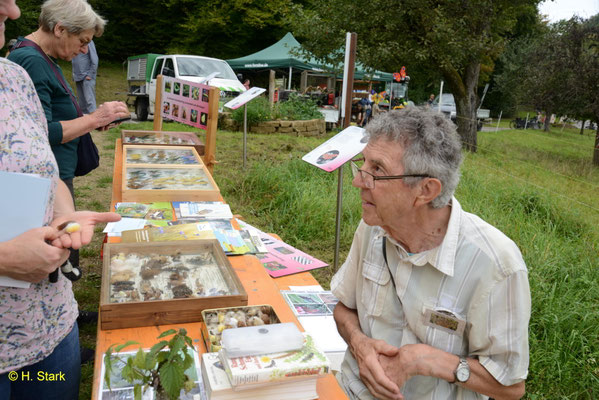 M. Feucht vom NABU-Schweigern mit seiner hochinteressanten Schmetterlingsausstellung