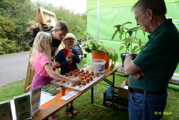Volkers berühmtes "Naturmemory"