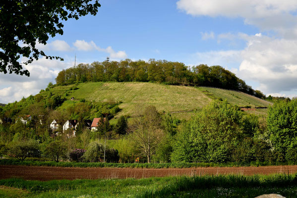 Der Spitzenberg