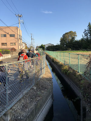 大きな白菜や柿が育つ命の水　　農業用水としての役割もある堀のようです