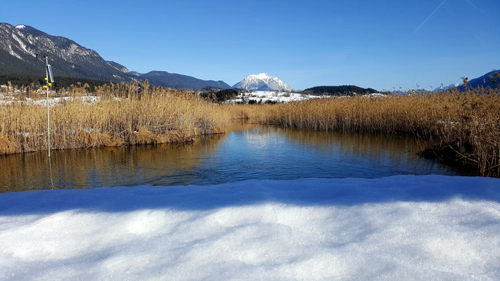 winter walk around lake Pressegger See