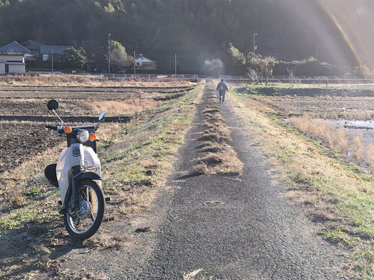 地元民のおばさん