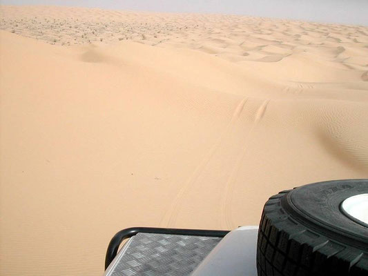 Lasciata Ksar Ghilane, un mare di dune verso Ayn Ouadette...