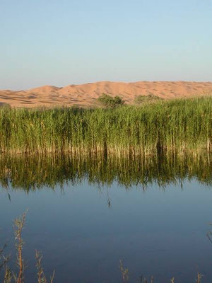 Il lago di Ayn Ouadette.