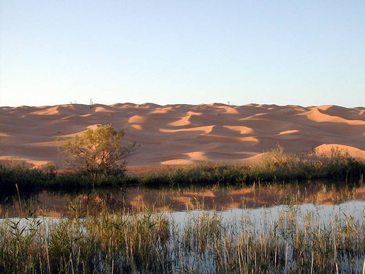 Qui, con il sole al tramonto.