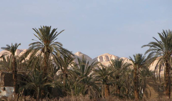 L'oasi di El Kharga nel sud est dell'Egitto