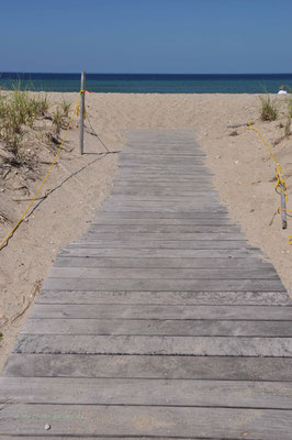 Edgartown Beach