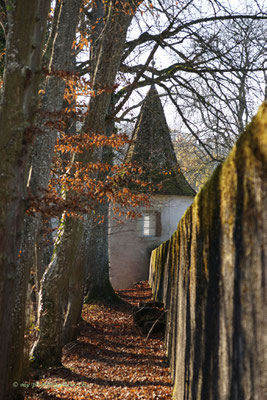 Klosterinsel Rheinau