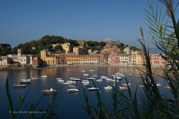Sestri Levante