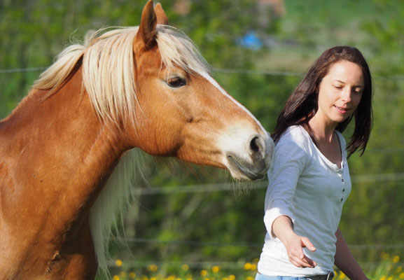 Horsemanship