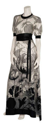 364-31 Longdress tulip