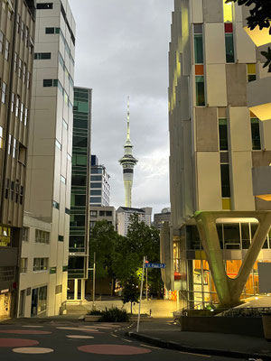 L'emblématique Sky Tower d'Auckland de Nuit. Le symbole d'Auckland, la capitale économique de la Nouvelle-Zélande