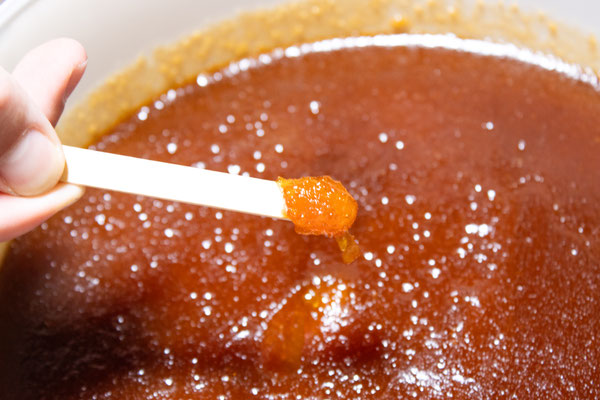 Miel de Manuka 10+ dans un seau de 10kg