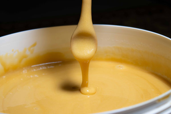 Miel de Forêt Tropicale dans un seau de 10kg