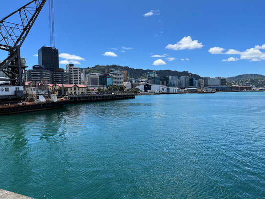 Un coin d'eau turquoise à Wellington avec son port et ses bâteaux 