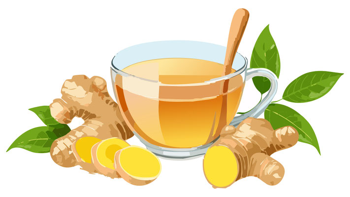 Dessin d'une infusion au gingembre au Miel de Manuka de Nouvelle-Zélande