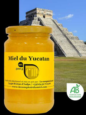 Pot de 300g de Miel du Yucatan du Mexique de Comptoir du Miel