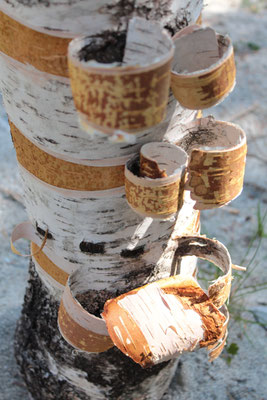 Sandra Gygax, Projekt Landart im Gasterntal Juli 2013
