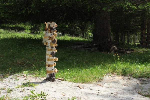 Sandra Gygax, Projekt Landart im Gasterntal Juli 2013