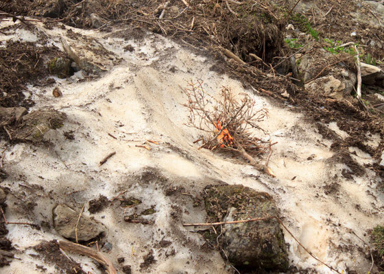 Sandra Gygax, Projekt Landart im Gasterntal Juli 2013