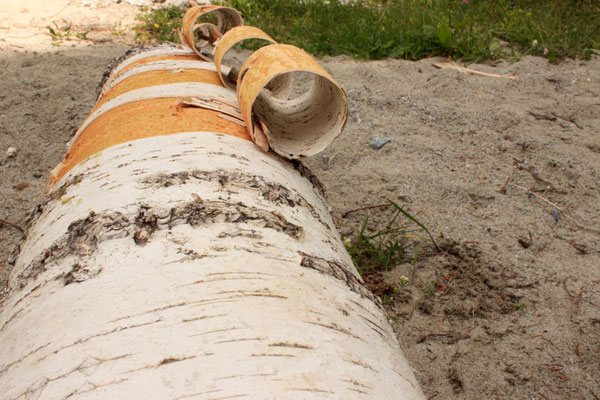 Sandra Gygax, Projekt Landart im Gasterntal Juli 2013