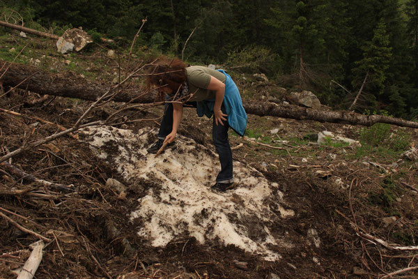 Sandra Gygax, Projekt Landart im Gasterntal Juli 2013