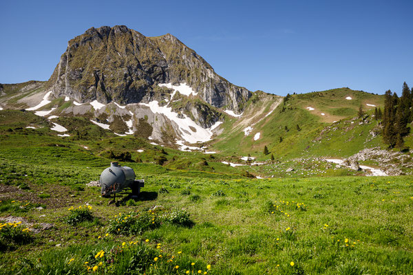 Gantrisch