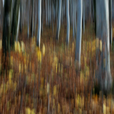 otherONES | 50x50x4cm, á 349,00 Euro | Leinwand - Edition of 3.