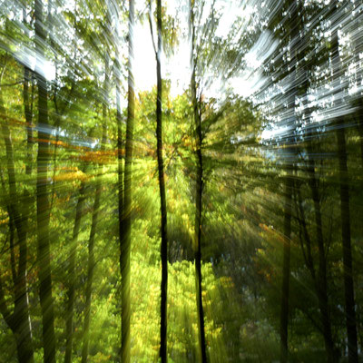 otherONES | 50x50x4cm, á 349,00 Euro | Leinwand - Edition of 3.