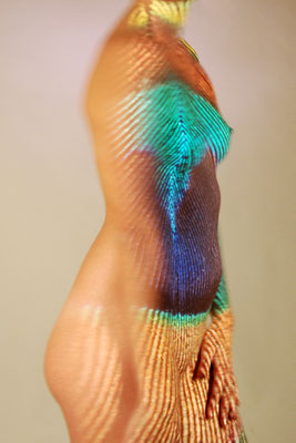 ARTwork: Andreas Ender: Titel: Pfauenfeder (2009) - limited Edition!