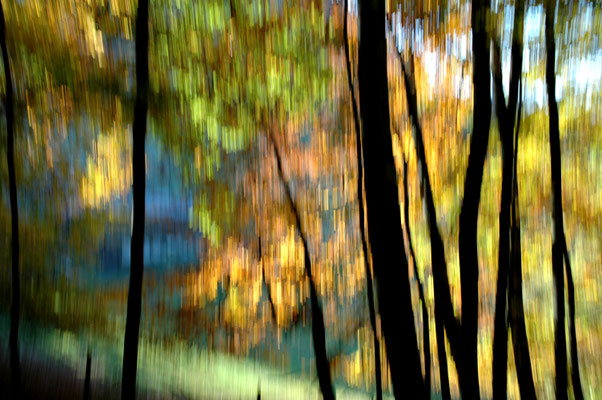 otherONES | 50x70x4cm, á 379,00 Euro | Leinwand - Edition of 3.