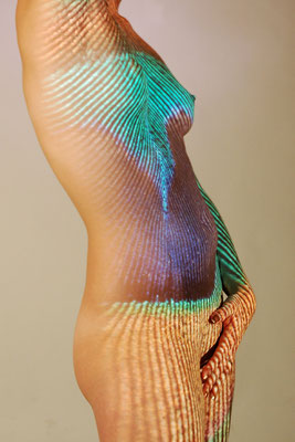 ARTwork: Andreas Ender: Titel: Pfauenfeder (2009) - limited Edition!