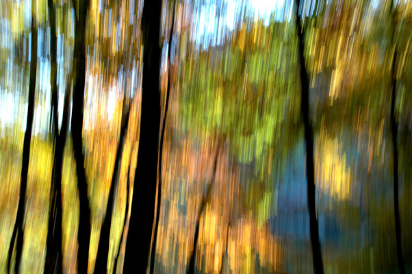 otherONES | 50x70x4cm, á 379,00 Euro | Leinwand - Edition of 3.