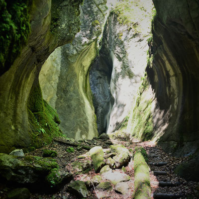 Foto: Andreas Ender | Viva La Vulva - photo24 - s'Kirchle in Dornbirn, 40x40cm - limited Edition of SEX - je 233,00€