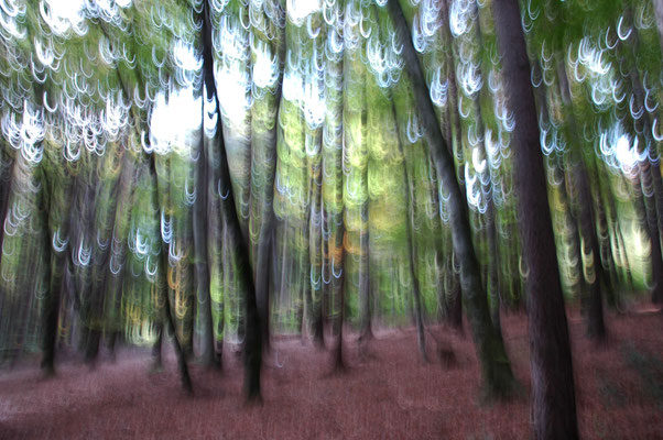 otherONES | 50x70cm, á 379,00 Euro | Aludibond - Edition of 3.