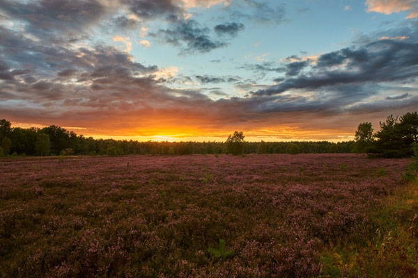 Hof Höpen Bilder von Christopher Thiele