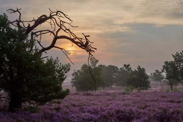 Hof Höpen Bilder von Christopher Thiele