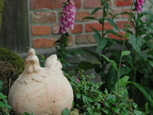Fingerhut und Tonhuhn - eine harmonische Freundschaft.