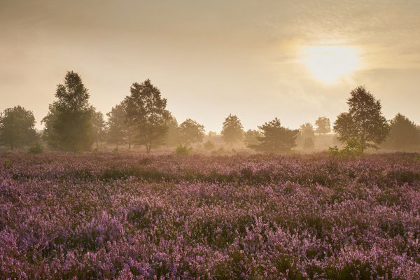 Hof Höpen Bilder von Christopher Thiele