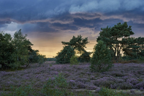 Hof Höpen Bilder von Christopher Thiele