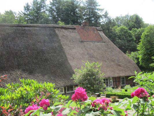 Bauernhaus mit Rosen