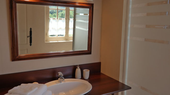 Salle de bain avec douche, lavabo et toilettes