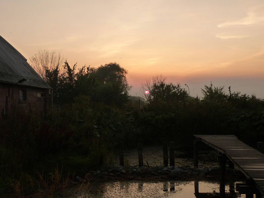 Ein Abend im August und Sonnenuntergang über unserem Teich.