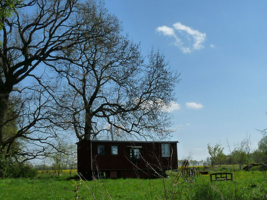 Bauwagen mit Eiche und blauem Flühlingshimmel.