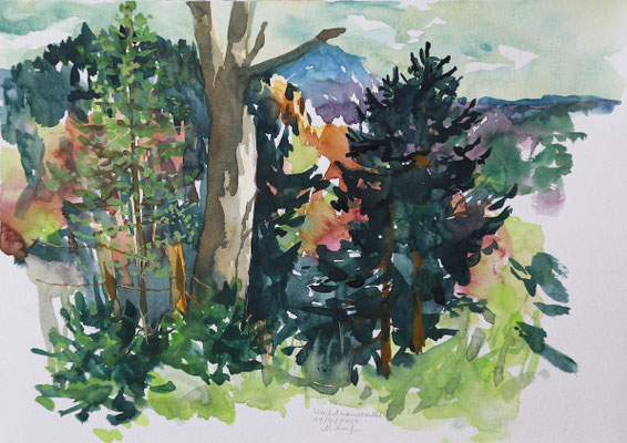 2025_4_21_Wachthaussattel_20x30cm_Aquarell_Papier_verfügbar