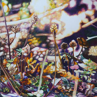 vol.57_Freiberg_40x40cm_Buntstift auf Papier