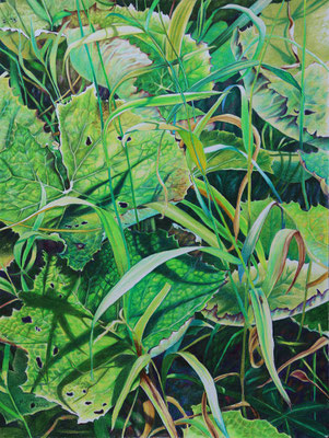 2025_Dürntal_39x29cm_Buntstift_Papier