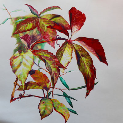 2025_Gleisdorf Raabufer_40x40cm_Buntstift_Papier_verfügbar