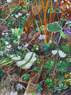 2025_Dürntal_56x42cm_Buntstift_Papier